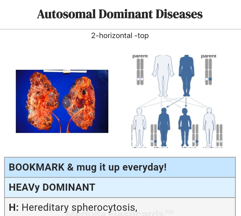 General Pathology, Genetics, Immunology Flashcards