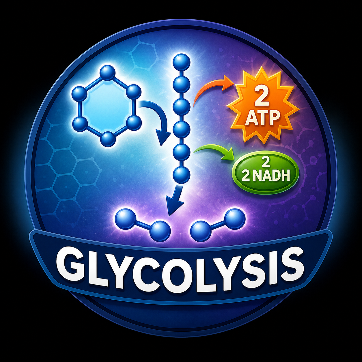 Glycolysis