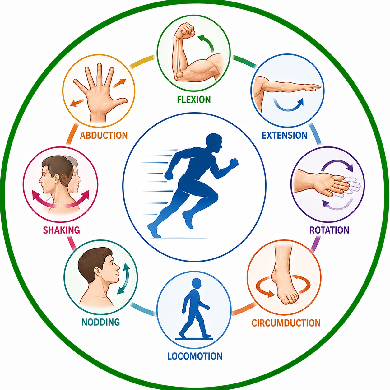 Types of Movement