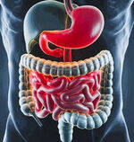 Gastro Intestinal System
