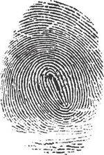 Forensic Identification