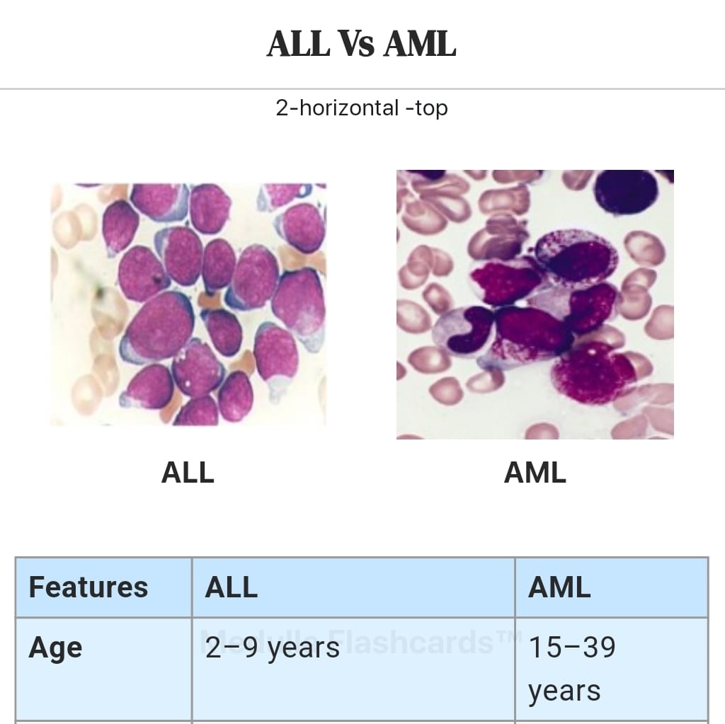 Hematology Flashcards