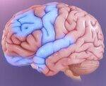 Trauma, Grief, Anxiety, OCD, Dissociative disorders