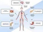 Immunology - Hypersensitivity, ANA, Immunodeficiency disorders, Amyloidosis