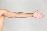 Upper limb - Arm, Forearm, Hand