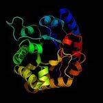 Enzymes - Classification, MOA, Inhibition, Regulation
