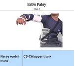 Ortho Flashcards - 2