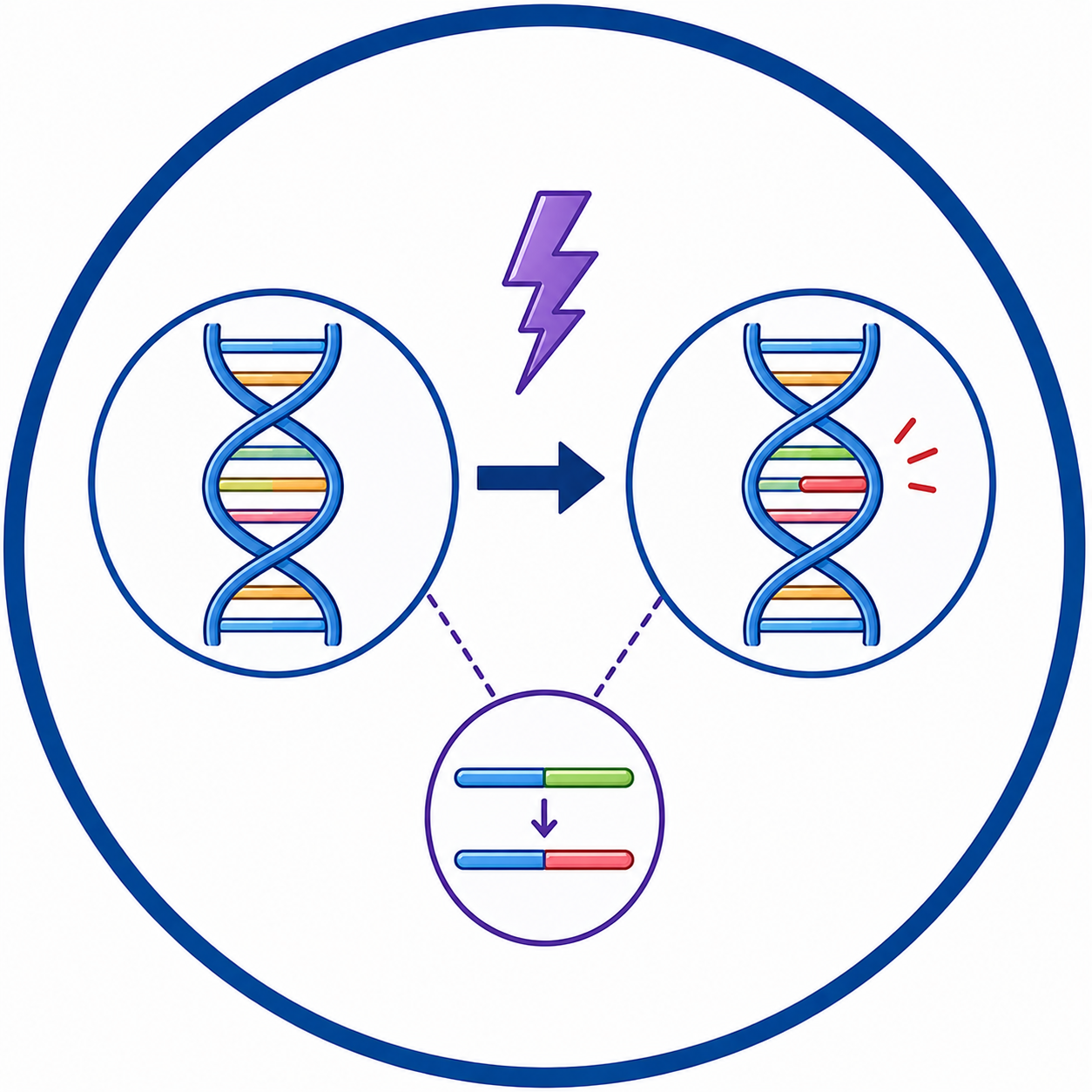 Mutation