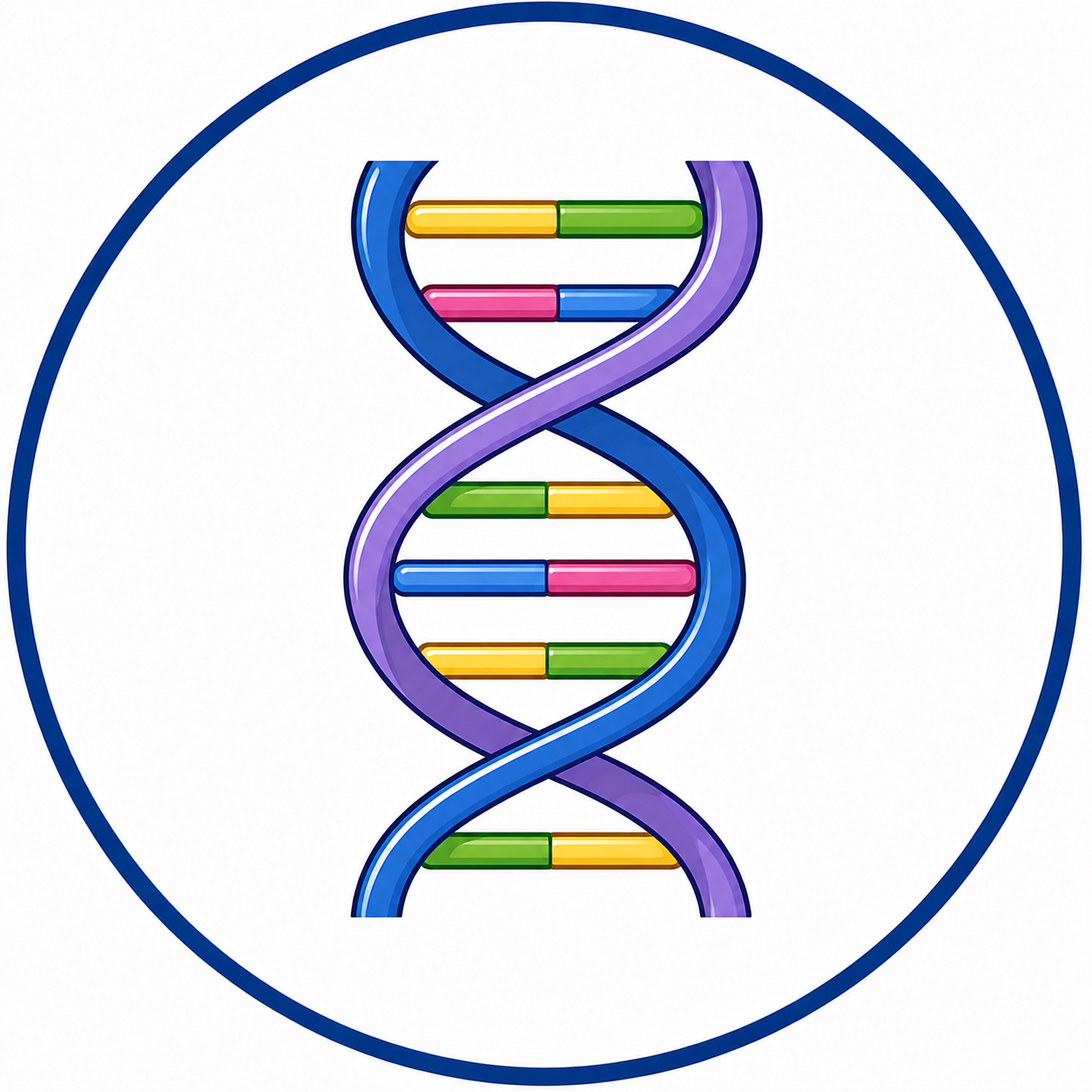 The DNA