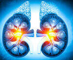 Renal Pharma