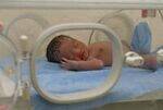 Neonatology