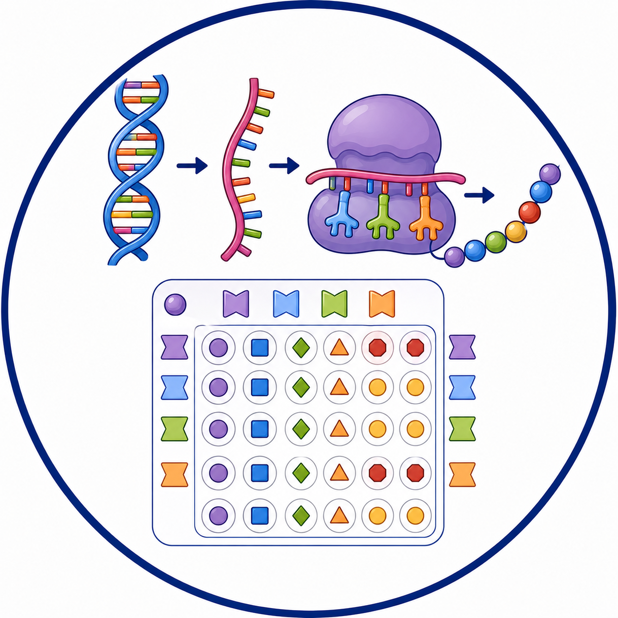 Genetic Code