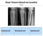 Ortho Flashcards - 3