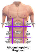 Abdomen and Inguinal region