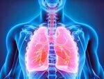 Respiratory Physiology