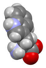 Tryptophan, Methionine, Cysteine, BCAA, Glycine, Serine, Arginine, Porphyrias