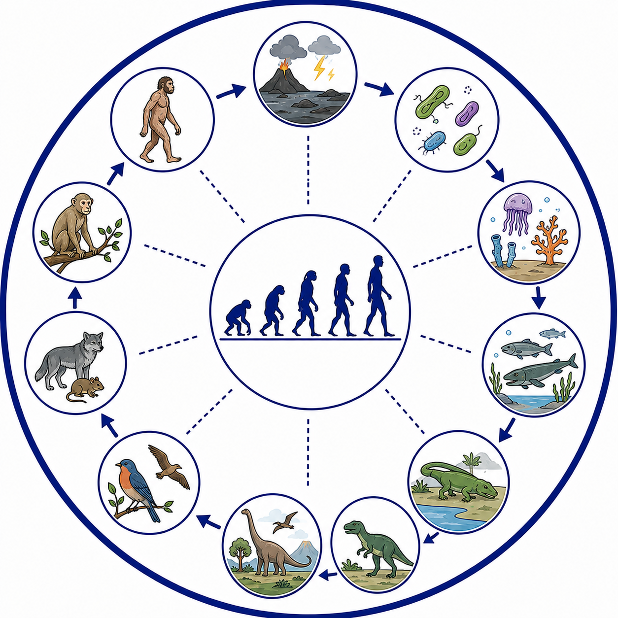 Evolution of Life Forms – A Theory