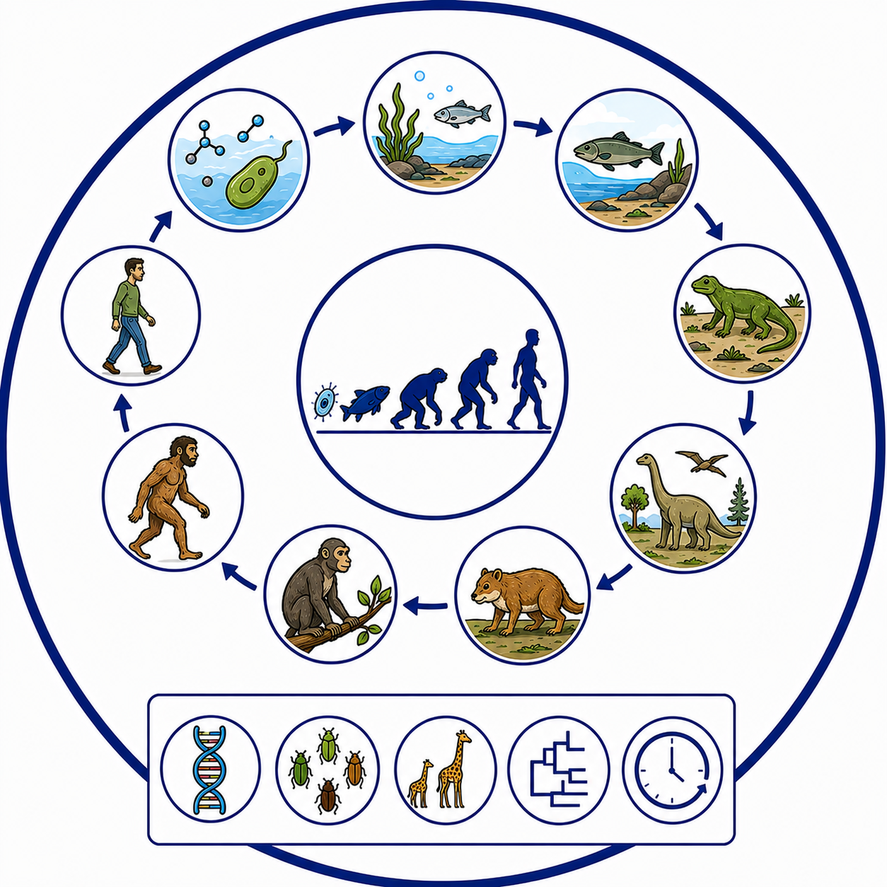 Biological Evolution