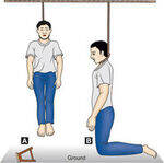 Deaths due to Asphyxia - Hanging, Strangulation, Suffocation