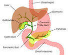 Hepatobiliary