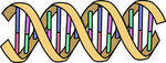 Genetics and Molecular Biology