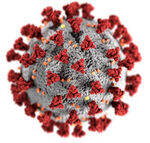 Virology Basics