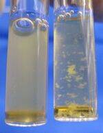 Haemostasis, Platelets, Blood Banking