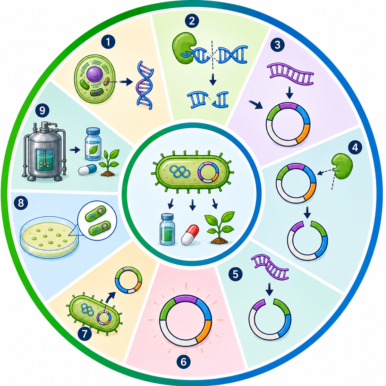 Processes of Recombinant DNA Technology
