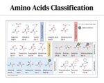 Biochemistry Flashcards 2