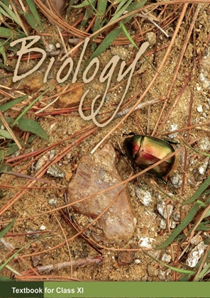 Class 11th Biology